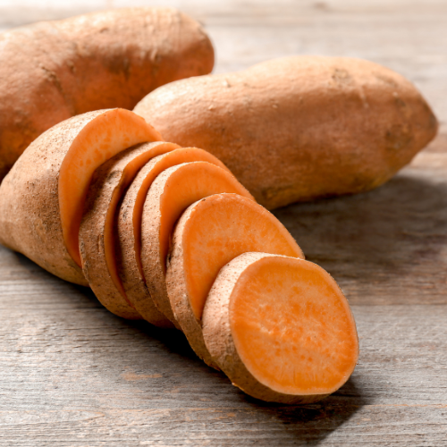 Beauregard Sweet Potato Plant