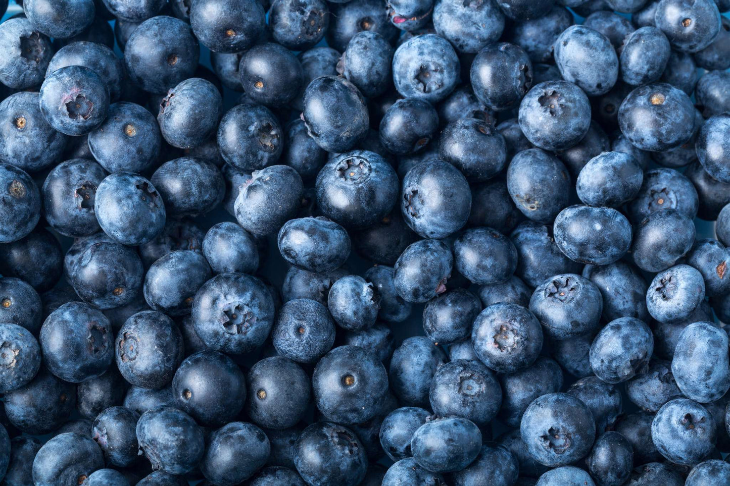 Blueberries