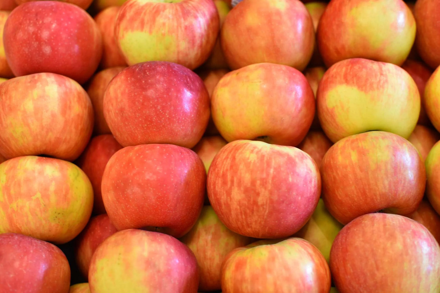 Honeycrisp Apples