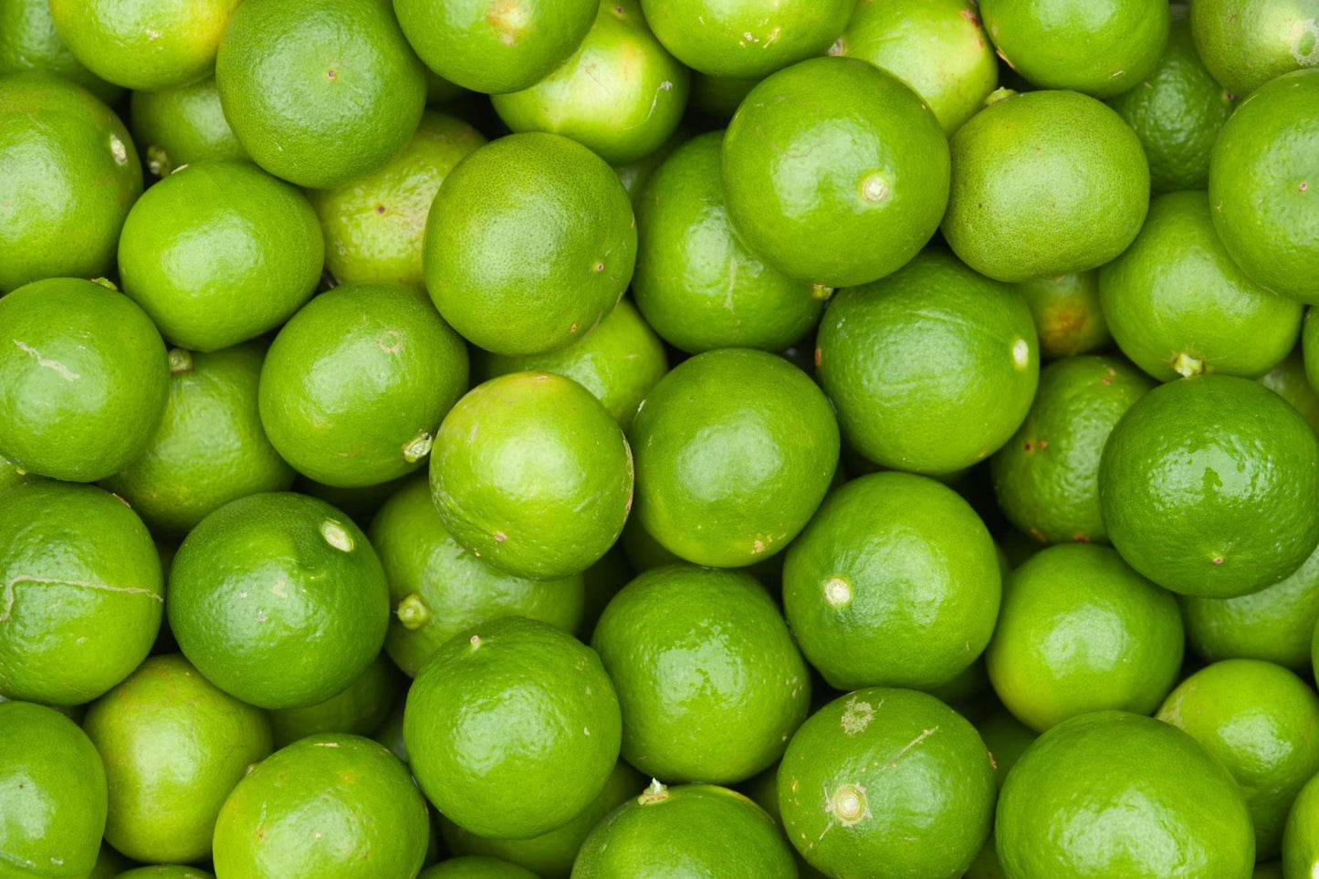 Limes