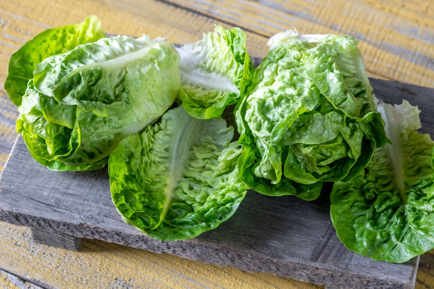 Romain Lettuce