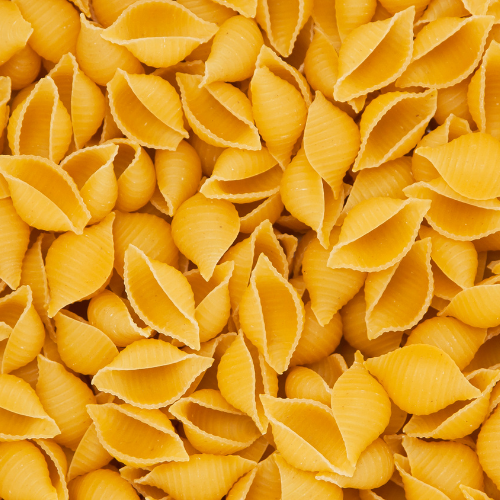 Shell Pasta