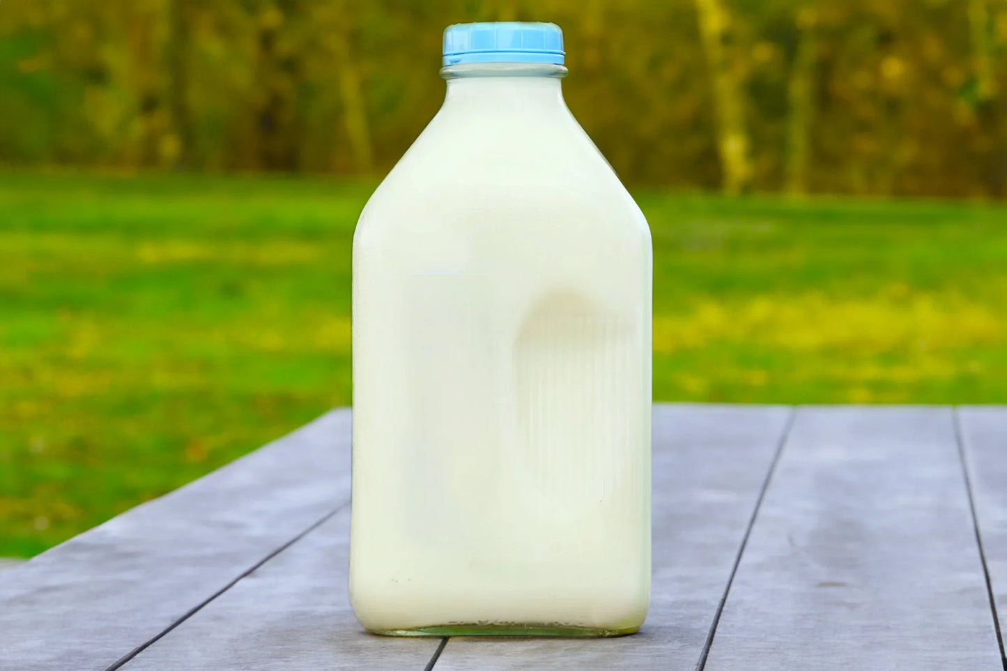 Skim Milk