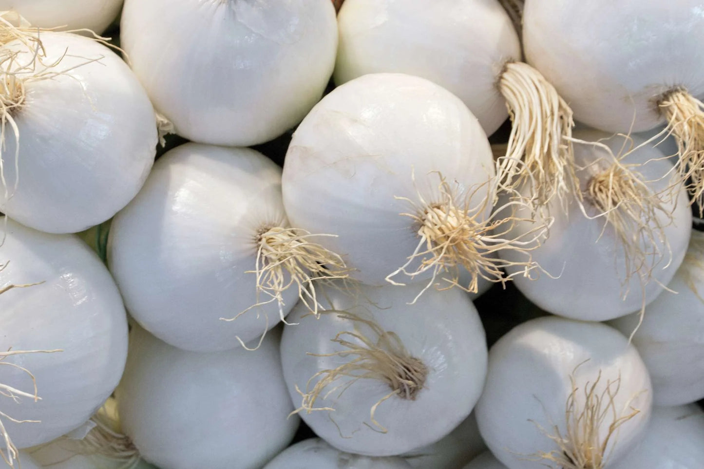 White Onions