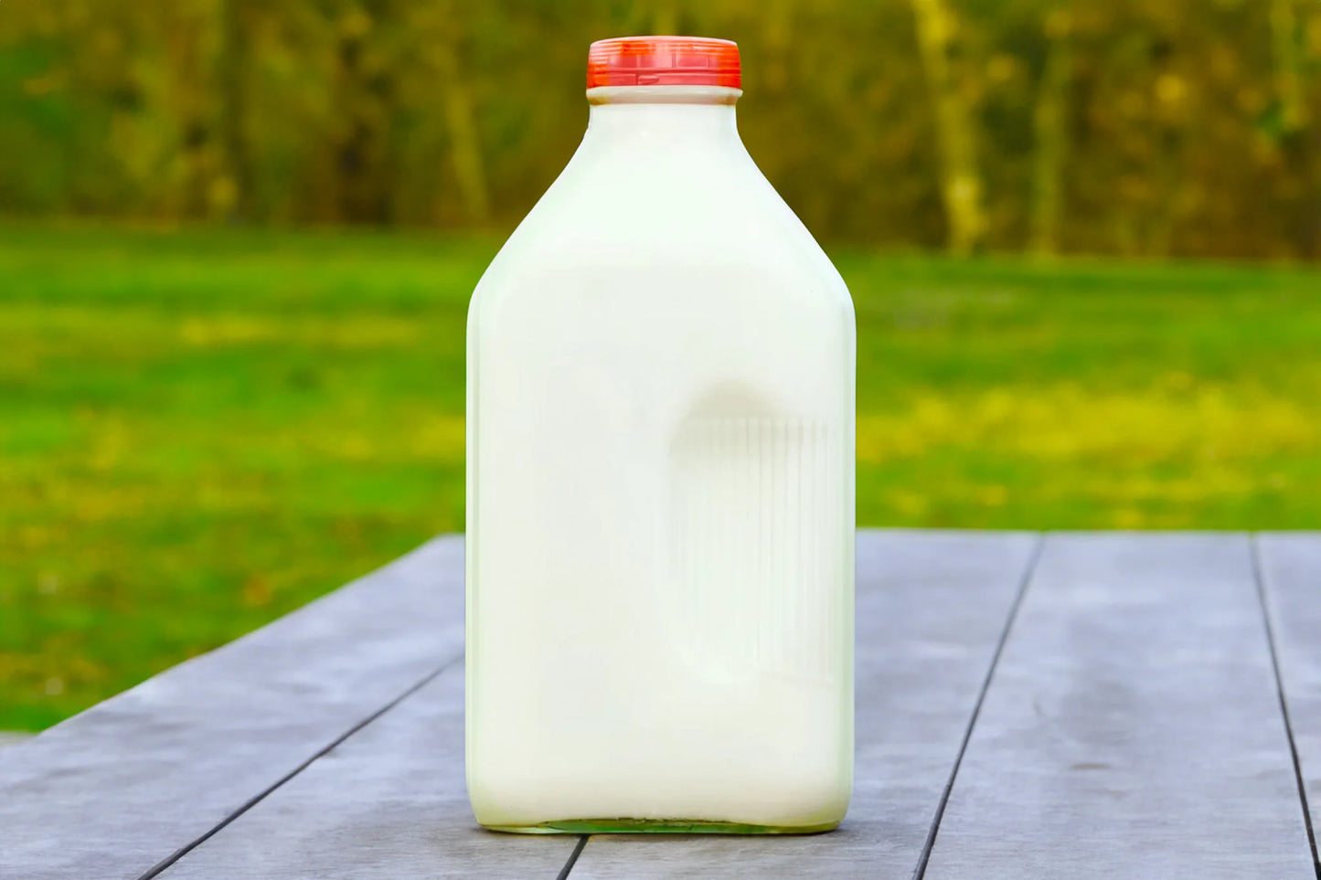 Whole Milk