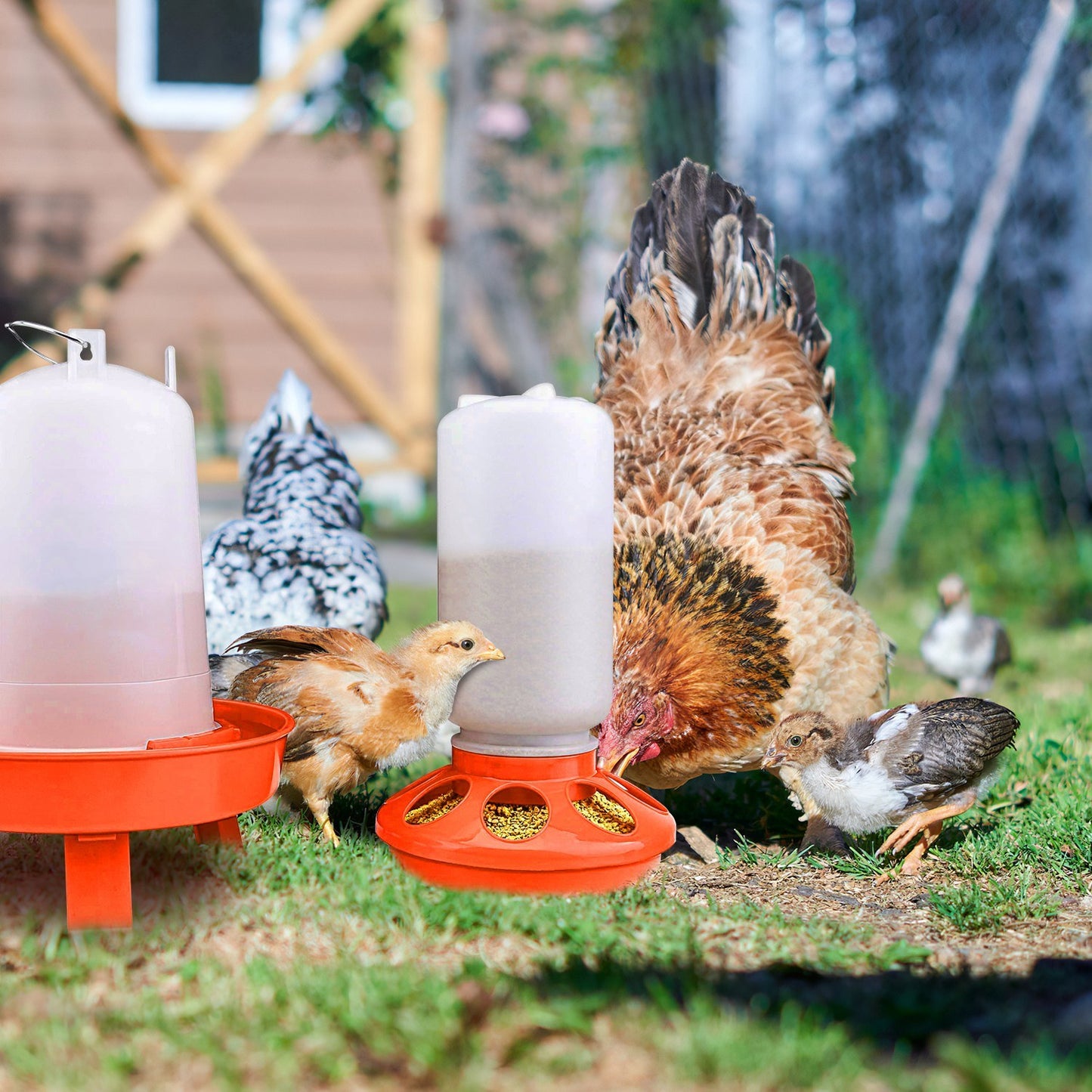 Chicken Feeder Waterer Set 1.5L Hanging Chick Waterer 2.2LBS Height Adjustable Chicken Feeder Poultry Feed Container Kit For Chick Hen Goose Duck