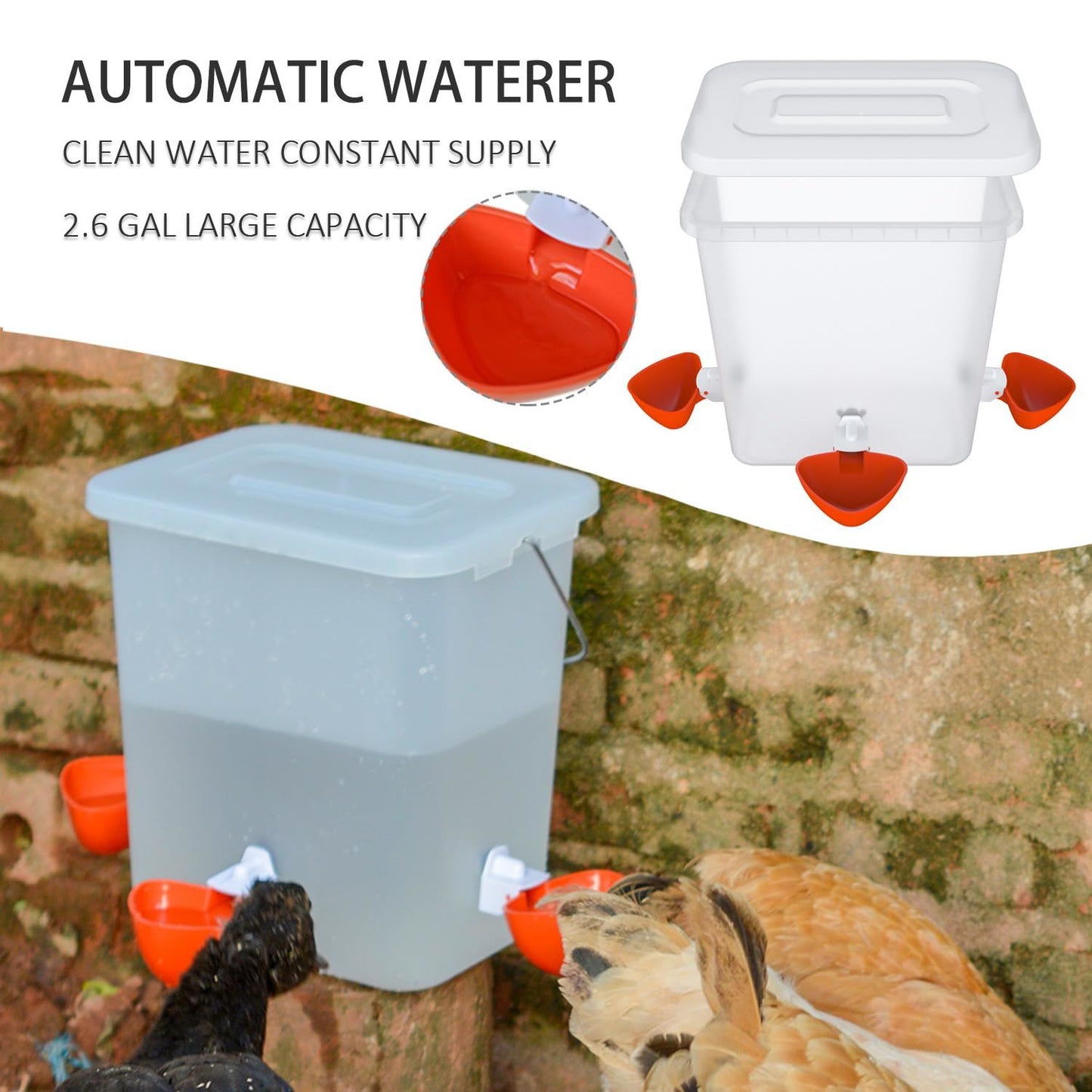 Automatic Chicken Feeder and Waterer Set