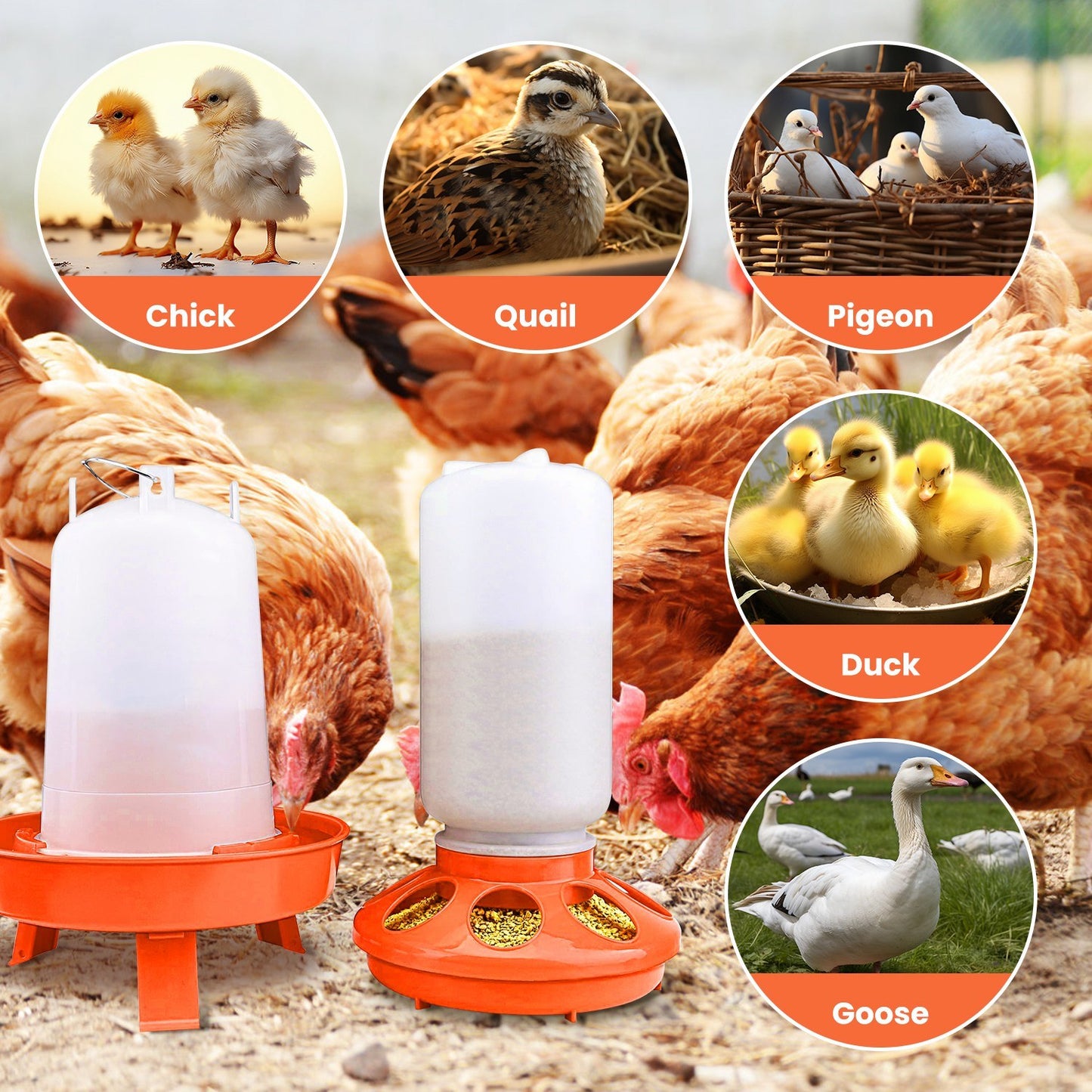 Chicken Feeder Waterer Set 1.5L Hanging Chick Waterer 2.2LBS Height Adjustable Chicken Feeder Poultry Feed Container Kit For Chick Hen Goose Duck