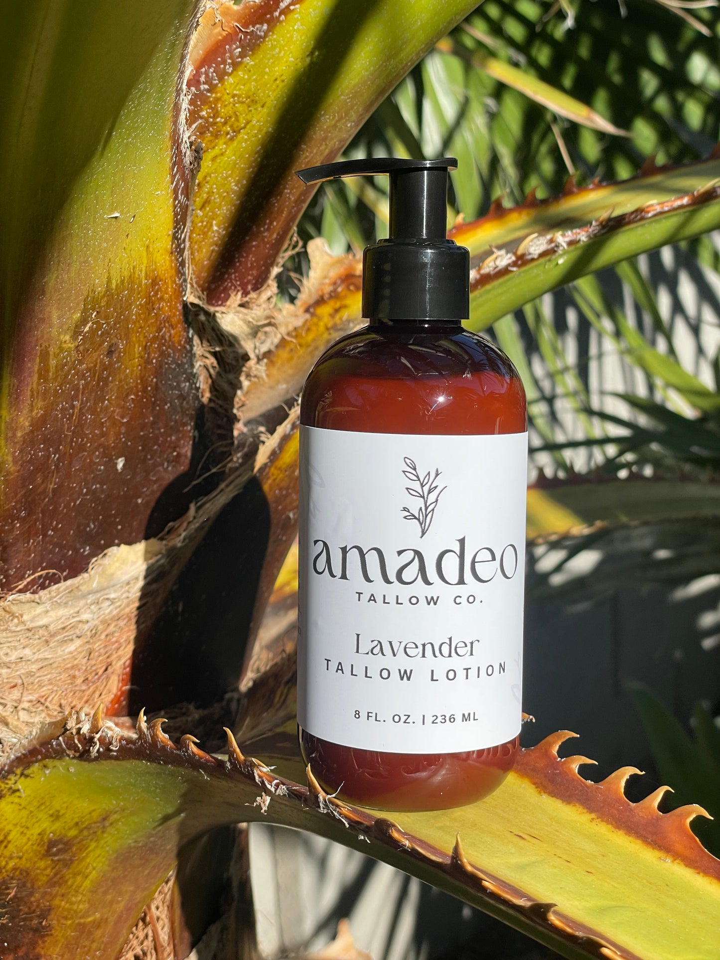 Lavender Tallow Lotion