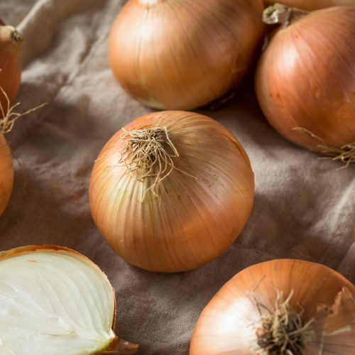 Sweet Onion Plant